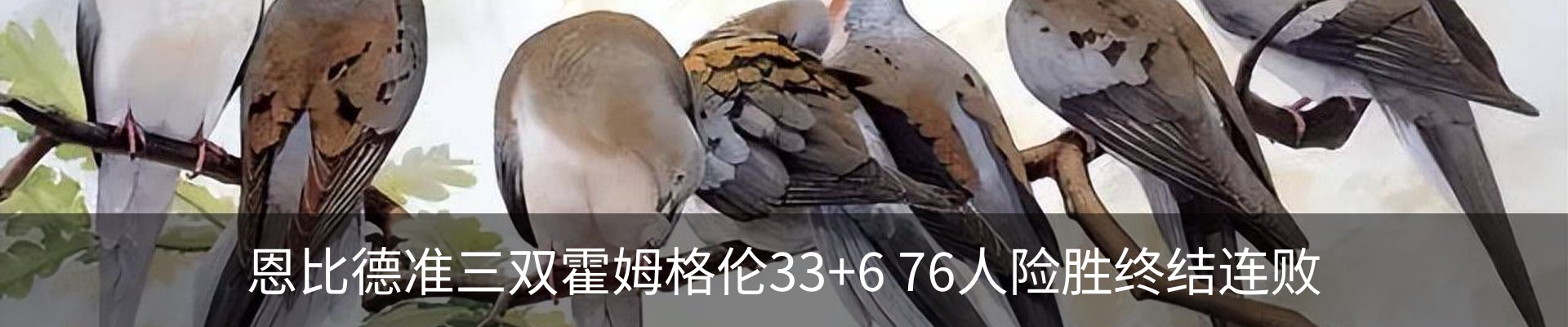 新闻中心